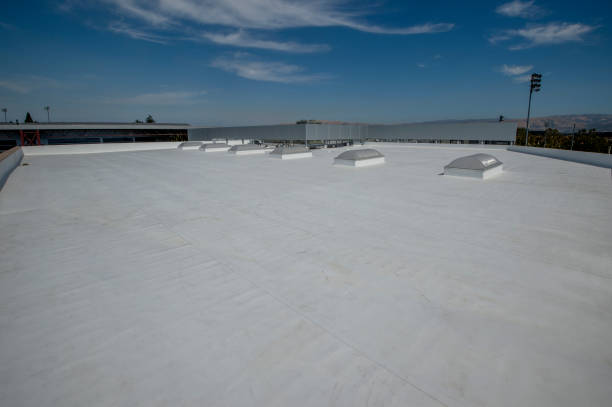 Best Metal Roofing Installation  in , NV