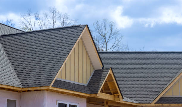 Best Gutter Installation and Repair  in , NV