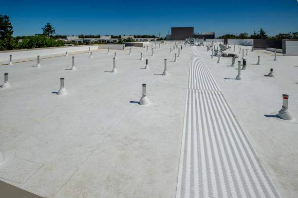 Best Roof Coating and Sealing  in , NV